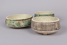 Rose Dickinson - Pots for Plants