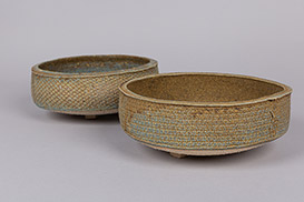 Rose Dickinson - Pots for Plants