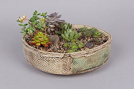 Rose Dickinson - Pots for Plants