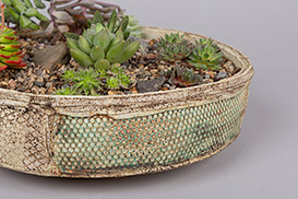 Rose Dickinson - Pots for Plants