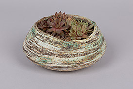 Rose Dickinson - Pots for Plants