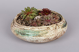 Rose Dickinson - Pots for Plants