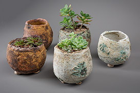 Rose Dickinson - Pots for Plants