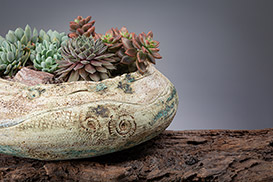 Rose Dickinson - Pots for Plants