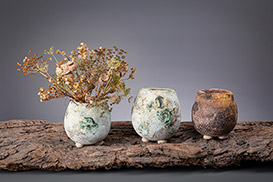 Rose Dickinson - Pots for Plants