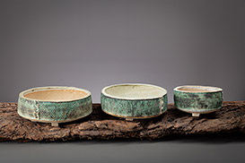 Rose Dickinson - Pots for Plants