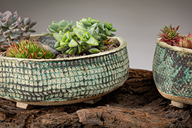 Rose Dickinson - Pots for Plants